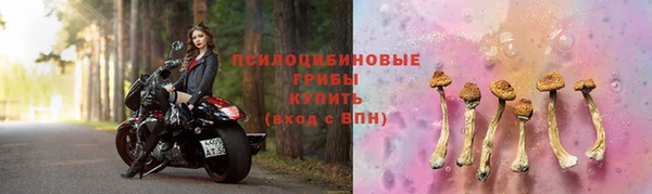 соль ск Алексин
