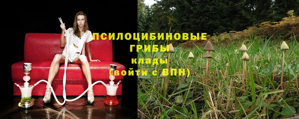 таблы Алексеевка