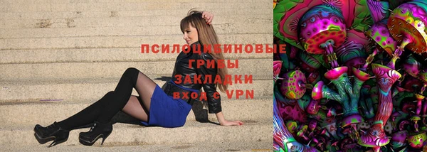 соль ск Алексин