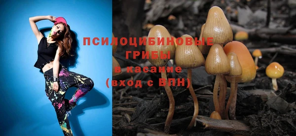соль ск Алексин